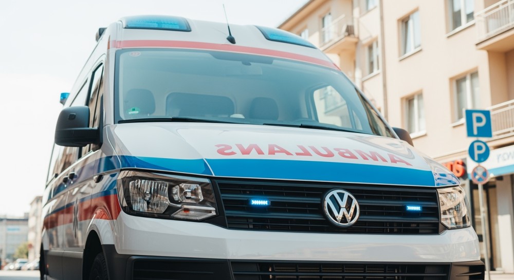 Bohaterowie w Mundurach: Uczcijmy Zwierzęta Ratujące Życie!